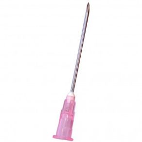 image-2c2491e886504107a43d5fb976d997a7